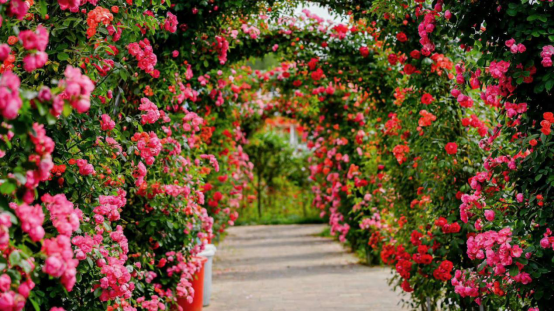 SS:网站文件:20220325160131505711.png;原始文件:640 (1).png 640 (1).png