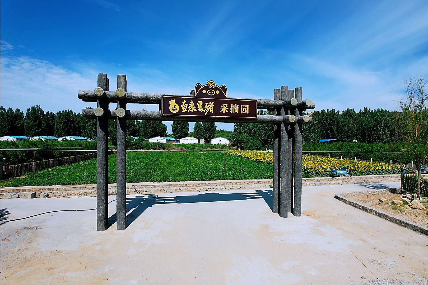 MS:网站文件:20220406115243653142.jpg;原始文件:微信图片_20220215173121.jpg 微信图片_20220215173121.jpg