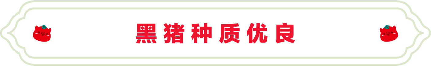 SS:网站文件:20220706102430637061.png;原始文件:11.png SS:网站文件:20220706102430637061.png;原始文件:11.png