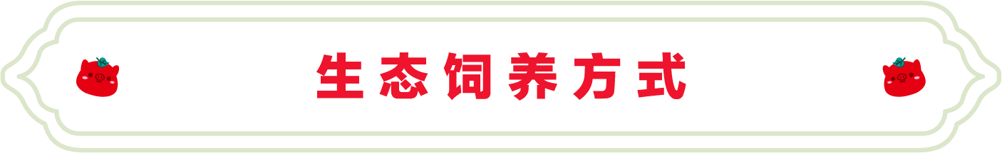 SS:网站文件:20220706102518777178.png;原始文件:13.png SS:网站文件:20220706102518777178.png;原始文件:13.png