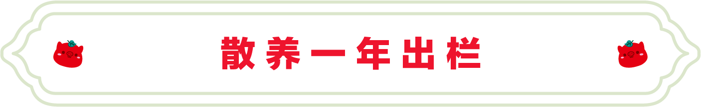 SS:网站文件:20220706102539838196.png;原始文件:14.png SS:网站文件:20220706102539838196.png;原始文件:14.png