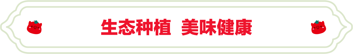 SS:网站文件:20231024101913799076.png;原始文件:1.png SS:网站文件:20231024101913799076.png;原始文件:1.png