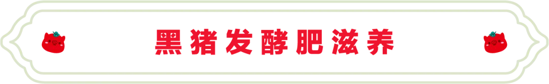 SS:网站文件：20250327143930667599.png；原始文件：640.webp.png