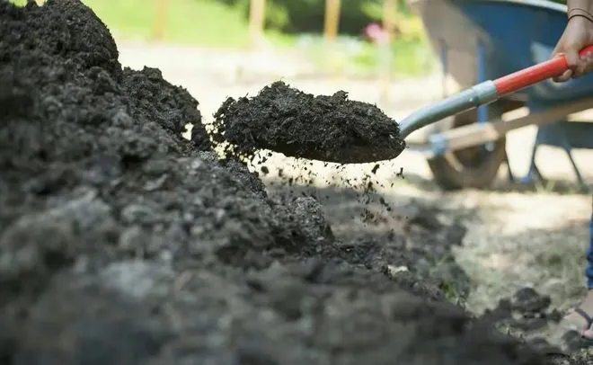 SS:网站文件：20250327144137854314.png；原始文件：640.webp (1).png