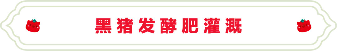 SS:网站文件:20250613151945968026.png;原始文件:640.webp (8).png SS:网站文件:20250613151945968026.png;原始文件:640.webp (8).png