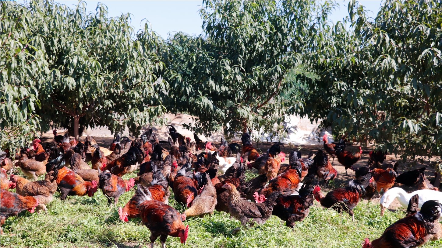 6374a0e41f2b3.png 6374a0e41f2b3.png