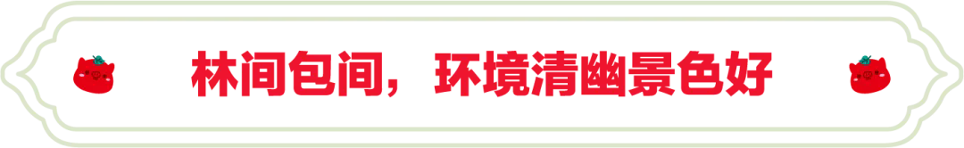 SS:网站文件:20250901143537812969.png;原始文件:640.webp (3).png SS:网站文件:20250901143537812969.png;原始文件:640.webp (3).png